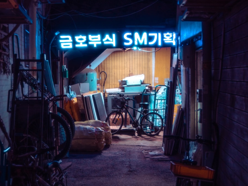 Dark Seoul alley with neon — night scene photograph