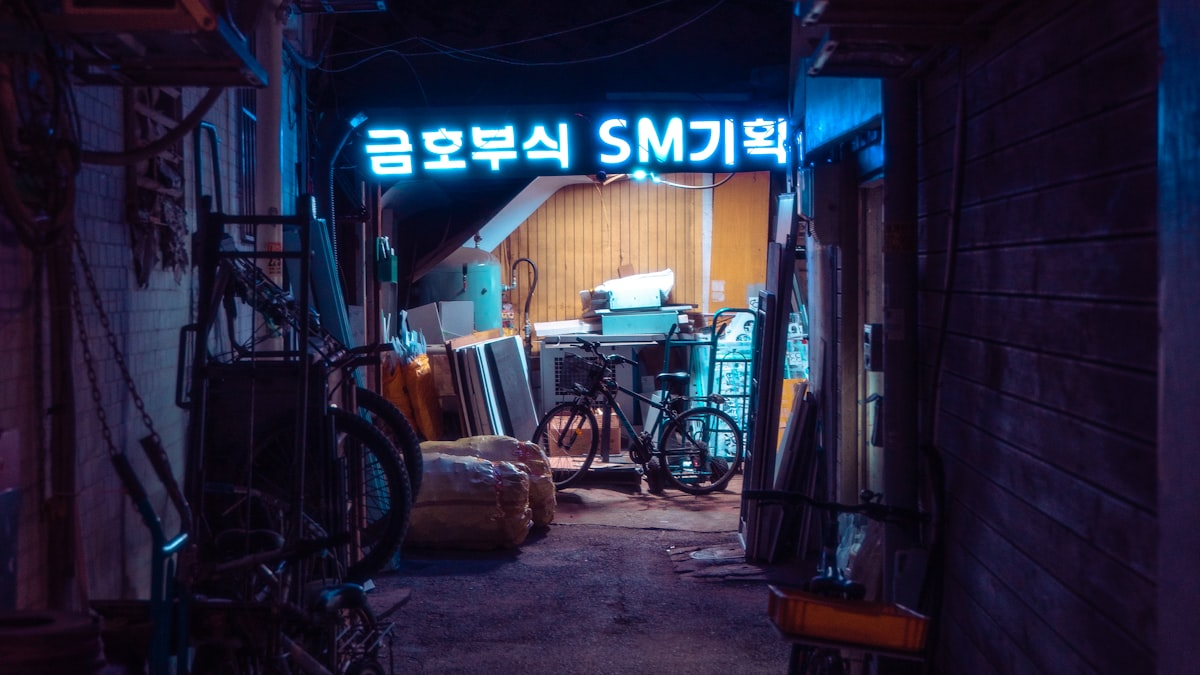 Dark Seoul alley with neon — night scene photograph