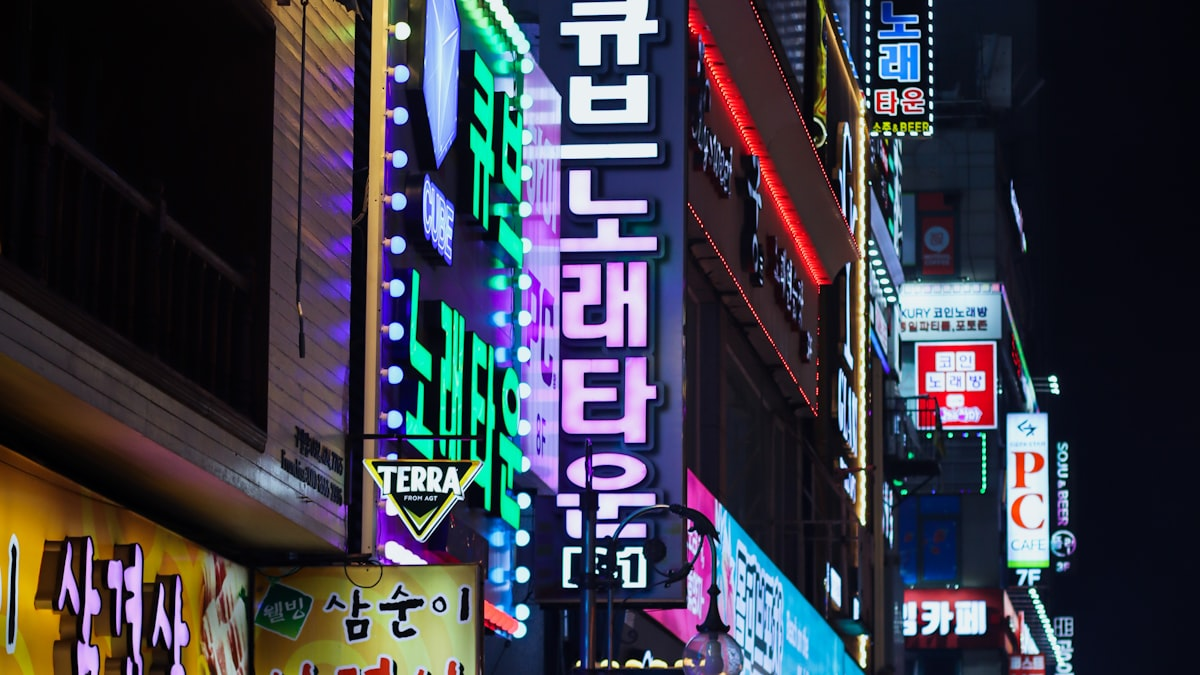 Korean DJs to Know in 2026 — night scene photograph