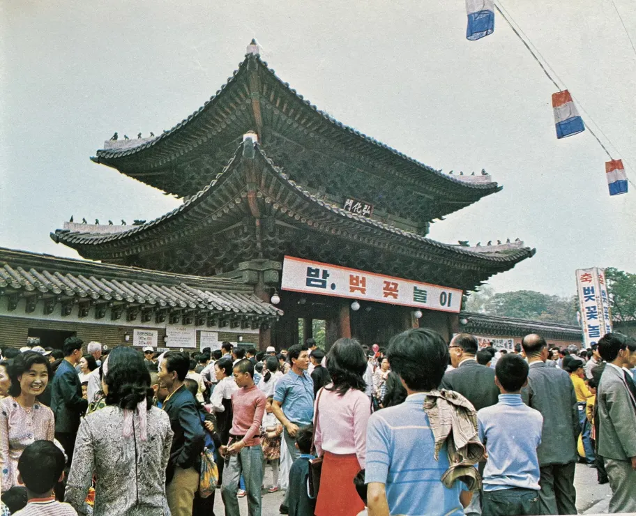 Crowds at the night cherry blossom event at Changgyeongwon, Seoul, in 1971