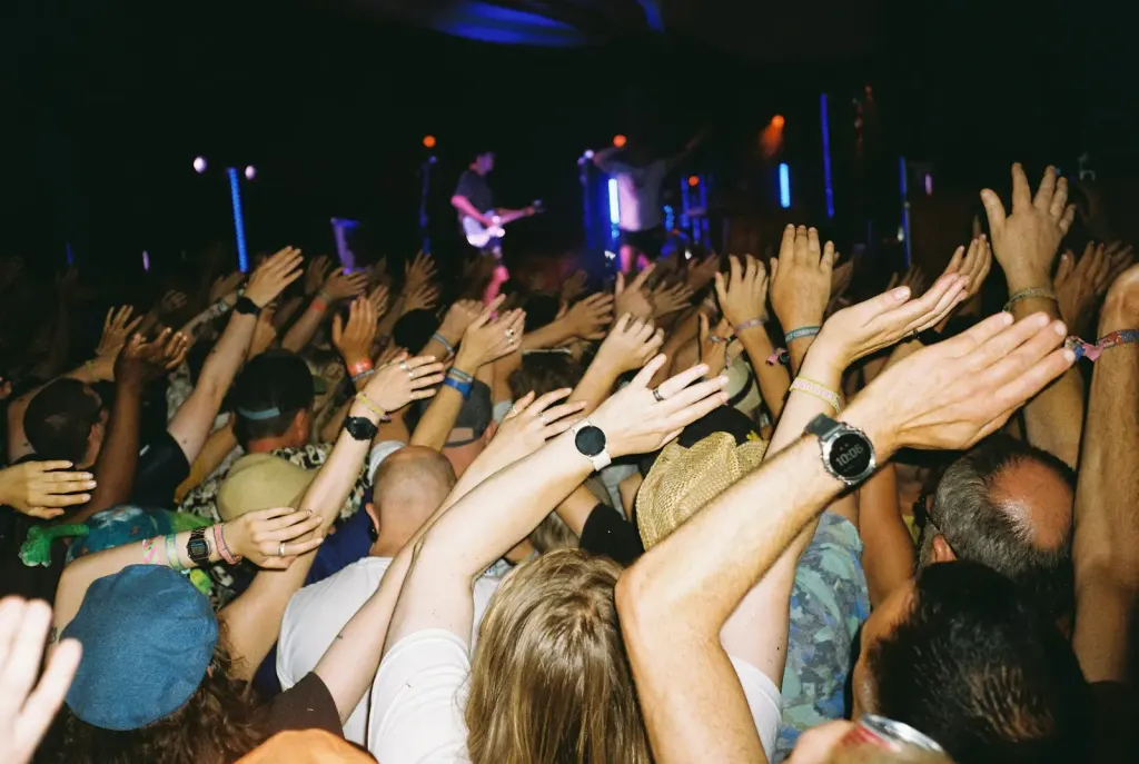 festival crowd hands up