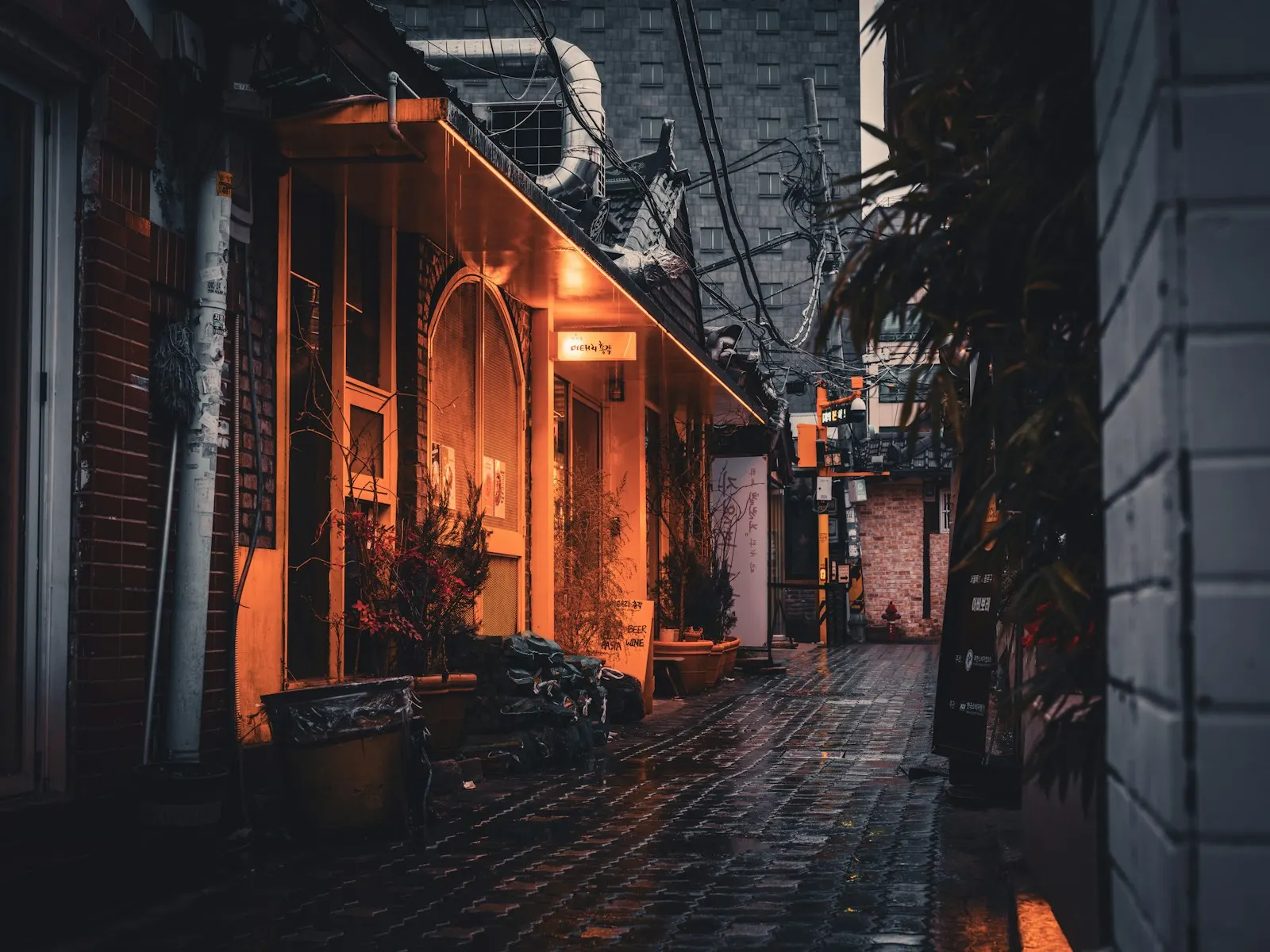 Seoul side street at night
