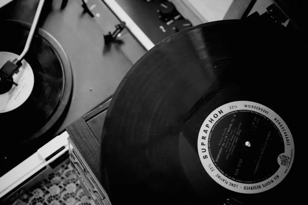 vinyl record black and white
